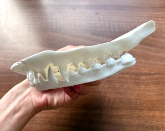 Realistic 3D Printed Canine/Wolf/Dog Furry JAWS –  High-Quality Canine Jaws