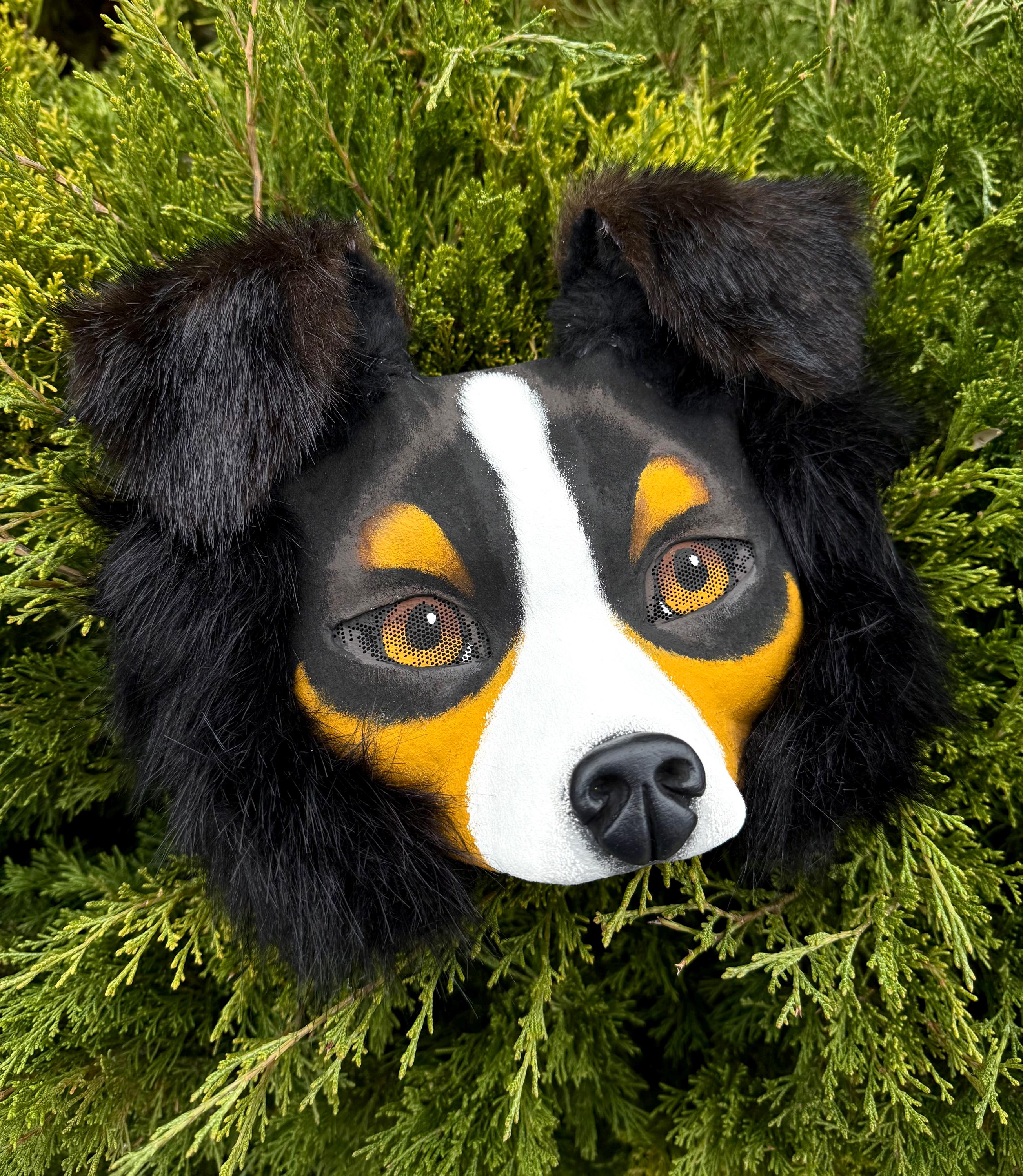 M41.韓国作家　黒いたぬき　3D PET マステ　切り売り Therian Mask, Dog Mask, Animal Mask, Cosplay, Mask for Quadrobics
