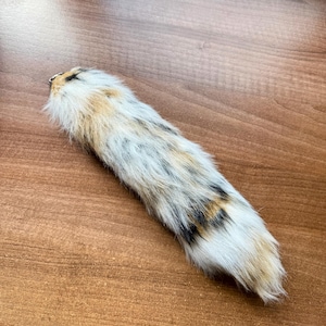 May include: A fluffy, elongated object with a mix of white, tan, and black fur. The item appears to be a tail, possibly from an animal, with a small metal attachment at one end. The fur has a soft, textured appearance.