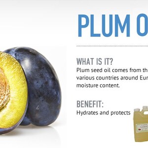 Plum Kernel 8 Oz Plum Kernel Oil 100% Pure & Organic Cold Pressed - Etsy