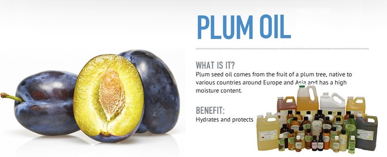 Plum Kernel 8 Oz Plum Kernel Oil 100% Pure & Organic Cold Pressed - Etsy