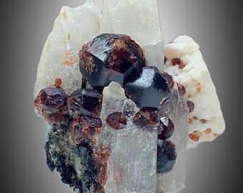 Etched Spessertine Garnet Cluster With Quartz and Albite