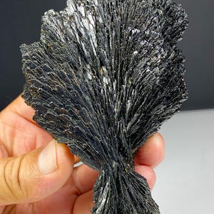 Könnte beinhalten: Ein Cluster aus schwarzen Stibnitkristallen, einem Mineral mit metallischem Glanz. Die Kristalle strahlen von einem zentralen Punkt aus und bilden eine fächerartige Struktur. Die Oberfläche reflektiert das Licht und zeigt ein dunkles, glänzendes Aussehen.