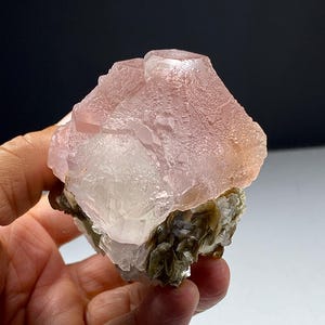 Könnte beinhalten: Natürliches Mineralpräparat mit rosa Fluoritkristallen auf einer Basis aus grünen und weißen Mineralien. Die Fluoritkristalle sind durchscheinend und strukturiert. Das Präparat wird in einer Hand vor einem dunklen Hintergrund gehalten. Die Mineralbasis hat ein geschichtetes Aussehen.