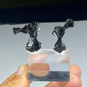 Könnte beinhalten: Zwei schwarze Mineralproben mit einer strahlenförmigen, federartigen Struktur werden auf einem transparenten, rechteckigen Sockel präsentiert. Die Mineralien haben eine glänzende, reflektierende Oberfläche und sind auf kleinen, weißen, kreisförmigen Sockeln montiert.