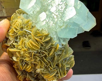 Aquamarine compound cluster with multiple terminations from Pakistan. 542 grams & 125x93x45mm