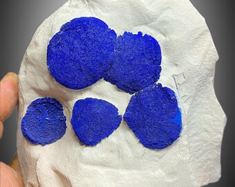 Azurite Cluster: Deep Blue Crystal Mineral Specimen, Malbunka Mine