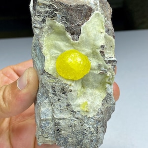 May include: A rough, gray rock with a bright yellow, spherical mineral formation. The rock has a light green and white interior, and the yellow mineral is smooth and rounded. The rock is held in a hand.