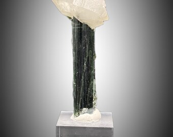 Collectors choice T shape Quartz and Tourmaline