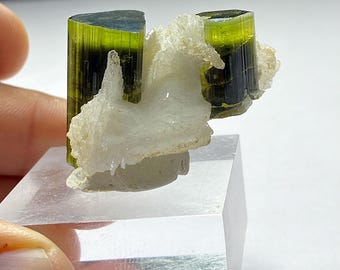 Tourmaline ( green cap ) in cleavelandite from staknala mine in skardu Pakistan. 47x30x27mm