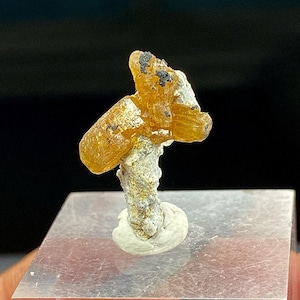 May include: A close-up of a mineral specimen featuring a cluster of translucent, amber-coloured crystals. The crystals are perched atop a white and grey base, mounted on a clear, rectangular stand. Small black inclusions are visible within the crystals.