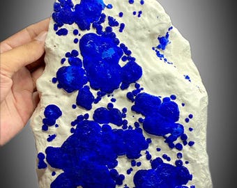Azurite Cluster on Kaoline @Malbunka copper mine Australia   2250 grams
