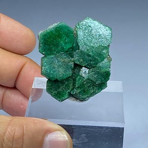 Pode incluir: Um grupo de cristais de esmeralda verde vibrante. Os cristais, de forma hexagonal, apresentam uma superfície rugosa e texturizada. As esmeraldas são montadas numa base de acrílico transparente, realçando a sua beleza natural. A apresentação destaca a cor e a forma da gema.