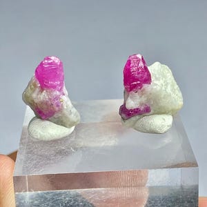 Op de afbeelding: Twee ruwe robijn edelstenen met een levendige roze tint worden getoond. Elke robijn is geplaatst op een lichtgekleurde, onregelmatige rotsformatie, gemonteerd op een heldere, rechthoekige basis. De edelstenen zijn een opvallend voorbeeld van natuurlijke minerale schoonheid.