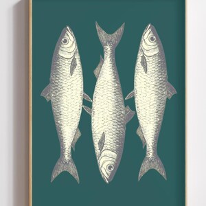 Vintage Fish Print Digital Download, Nautical Wall Art, Antique Fish Illustration, Coastal Decor, Marine Life Art, Instant Download