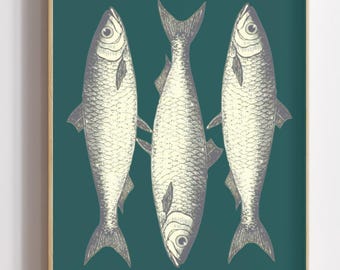 Vintage Fish Print Digital Download, Nautical Wall Art, Antique Fish Illustration, Coastal Decor, Marine Life Art, Instant Download