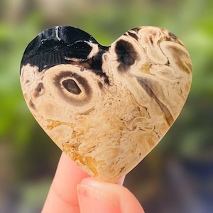 May include: A heart-shaped stone with a unique pattern of swirling beige and brown tones, accented by a black section at the top. The polished surface reveals natural textures, held by a hand.