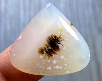 May include: A triangular, translucent white cabochon gemstone featuring a distinct, dark brown, fern-like dendritic inclusion at its center, surrounded by small, opaque white circular spots within the smooth, polished surface of the stone.