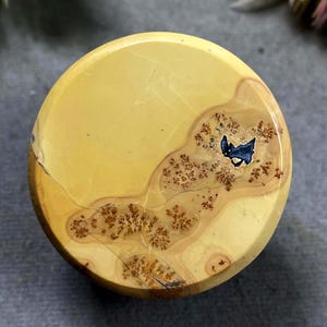 May include: A circular polished stone cabochon featuring a smooth mustard yellow surface with natural tan and brown dendritic inclusions. A distinct, small, dark blue-black jagged shape is embedded within the patterned mineral formation.
