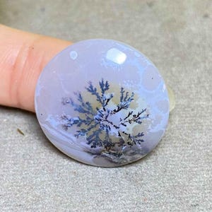 May include: A smooth, oval gemstone in pale lavender. It displays a dendritic pattern in blue and black, like a tiny tree or fern. The stone is polished and reflective, with a subtle, natural design.