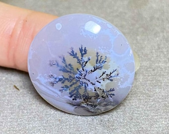 Natural Dendritic Agate Cabochon - Scenic Gemstone (21mm)