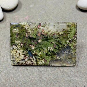 Può includere: Una pietra preziosa di agata muschiata rettangolare con una base traslucida. La pietra presenta una vibrante esposizione di inclusioni verdi, rosse e bianche simili a muschio, creando un motivo naturale e organico. La superficie lucida riflette la luce.
