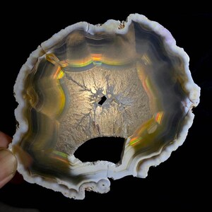 May include: A polished agate slice with a natural, irregular shape. The stone features bands of white, gray, and brown, with iridescent rainbow colors. A central cavity and intricate crystalline patterns add to its unique appearance. The agate is displayed against a dark background.