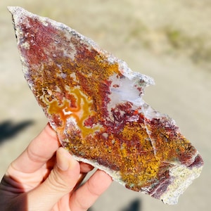 May include: A colorful, natural agate stone slice with a unique pattern. The stone features a mix of red, yellow, and white hues, with intricate veining and textures. The irregular shape and polished surface highlight its natural beauty.