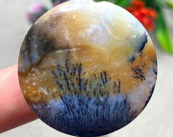 Shazar Scenic Dendrite Agate Cabochon Natural Dendritic Agate Gemstone for Jewelry Making