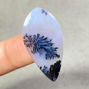 May include: A polished, teardrop-shaped gemstone with a pale blue base. Intricate, tree-like patterns in shades of blue and black are visible within the stone. The gemstone is held between two fingers.