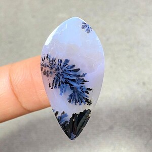 May include: A polished, teardrop-shaped gemstone with a pale blue and white base. Intricate, fern-like patterns in shades of blue and black create a natural, artistic design. The gemstone is held by a finger.