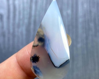 May include: A teardrop-shaped dendritic agate gemstone featuring a translucent, milky white base with distinct black, fern-like inclusions and a smooth, polished surface. The stone displays a sharp, pointed top and a rounded bottom edge.