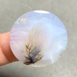 Op de afbeelding: Een ronde, doorschijnende edelsteen met een dendritisch patroon dat op een boom lijkt. De steen heeft een mix van witte, lichtblauwe en bruine tinten. De dendritische insluitsels vormen een natuurlijk, organisch ontwerp. De edelsteen wordt door een vinger vastgehouden.