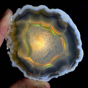 May include: A cross-section of a polished agate stone, showcasing concentric bands of color. The stone features a central, light-colored core surrounded by layers of brown, gray, and white, with iridescent bands of yellow, orange, and green. The edges are irregular.