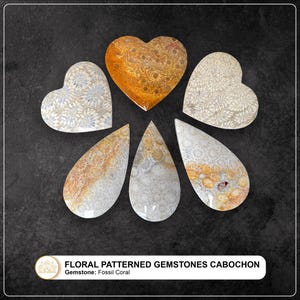 6 piece Fossil coral stone! Wholesale Fossil coral Cabochon Lot - Fossil coral Cabs Lot - Fossil coral stone For Making Jewelry/Necklace