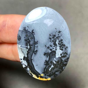 May include: An oval gemstone with a grey and white base, displaying black dendritic patterns that look like trees. The stone has a polished surface and a natural, organic appearance. The gemstone is held by a finger.