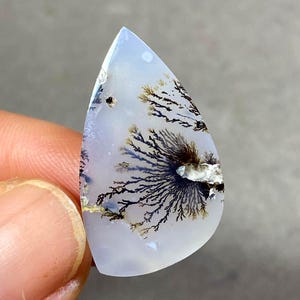 Peut inclure: Une pierre précieuse en agate dendritique en forme de goutte d'eau. La pierre présente une base translucide bleu pâle avec des inclusions complexes en forme de fougère dans des tons bruns et noirs. La surface polie met en valeur les motifs naturels.