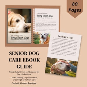 May include: An ebook cover titled "Caring Senior Dogs" with a photo of a golden retriever. The cover also includes a photo of a senior dog and the text "Senior Dog Care Ebook Guide". The book covers mobility, cognitive health, grooming, and end-of-life care.