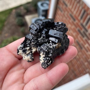 May include: A cluster of lustrous, black tourmaline crystals with a rough, textured matrix. The crystals have a geometric shape and are partially covered with white and beige mineral deposits. The specimen is held in a hand.