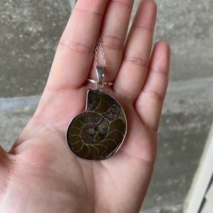 Ammonite Pendant Necklace, Fossil Necklace, Crystal Jewelry