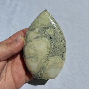 Puede incluir: Una piedra pulida en forma de l&aacute;grima. Presenta una mezcla de colores verde p&aacute;lido, crema y gris con intrincados patrones de vetas. La piedra est&aacute; sostenida en una mano.