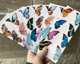 Marcapáginas magnéticos de mariposa, diseños coloridos para lectores