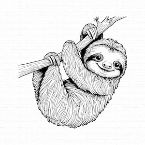 Pode incluir: Uma ilustração de arte linear em preto e branco de uma preguiça pendurada num galho de árvore. A preguiça tem texturas de pelo detalhadas, olhos grandes e redondos e um pequeno sorriso. O desenho usa linhas claras para definir a forma.