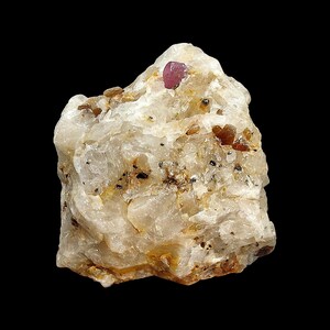 May include: A rough, off-white mineral specimen with a prominent, small, pinkish-red ruby crystal embedded near the top. The stone has a textured surface with small, dark inclusions and a few other small crystals.