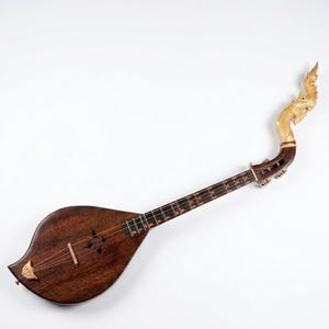 Handcrafted Thai Phin 3-String Acoustic Lute | Custom Shapes | Left/Right-Handed | Detachable Naga Head