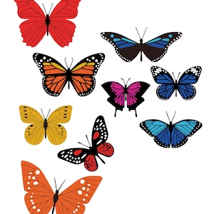 Papillon coupé fichiers SVG, PDF, PNG, superpositions de papillons, fichiers de bricolage, prêt pour la découpe Cricut, compatible Silhouette