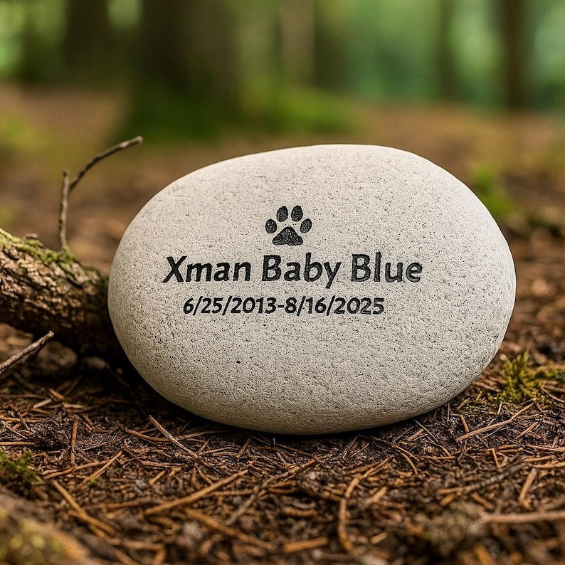 May include: A light grey, oval memorial stone with the text "Xman Baby Blue" and dates 6/25/2013-8/16/2025. A paw print is above the name. The stone rests on a bed of brown leaves and pine needles.
