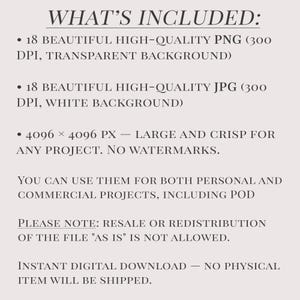 May include: Text on a beige background lists the contents of a digital download. It includes 18 PNG files with transparent backgrounds, 18 JPG files with white backgrounds, and a resolution of 4096 x 4096 pixels. The text also states that resale is not allowed.