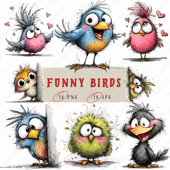 Funny Birds Clipart Bundle | Cute Cartoon Bird PNG & JPG Set | Whimsical Animal Illustrations | Kids Birthday, Cards | Instant Download