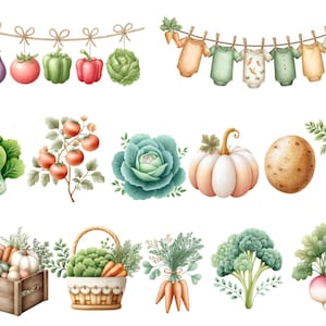 May include: Watercolor illustrations of various vegetables and baby clothes. The vegetables include an eggplant, tomatoes, peppers, and a cabbage hanging from a string. Other vegetables include a pumpkin, potato, and carrots. Baby clothes are hanging on a clothesline.